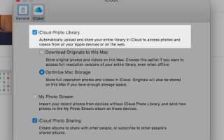 Руководство пользователя iCloud Photos: все, что нужно знать для управления фотографиями