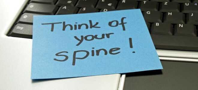 5 самых выгодных лотков для ноутбуков (и зачем они вам нужны)