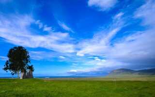 Как добавить реалистичные деревья к фотографиям в один клик с помощью Photoshop