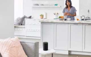 Владельцы Amazon Echo: Spotify Premium или Amazon Music Unlimited?