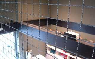 Что такое беспроводная мертвая зона и как ее устранить?