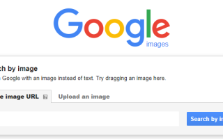 Как искать изображение в Google