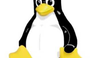 Как установить Ubuntu на новый компьютер с Windows 8?