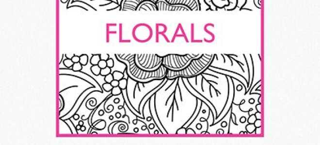 Приложения-раскраски для iPad помогут взрослым расслабиться и отдохнуть