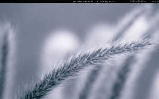 Distro Indecision: чит-руководство по выбору дистрибутива Linux
