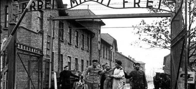 7 лучших документальных фильмов BBC, которые стоит посмотреть на Netflix