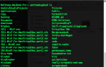 Хуже, чем сердцебиение? Встречайте ShellShock: новая угроза безопасности для OS X и Linux