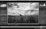 Все, что вам нужно знать о Adobe Creative Cloud Photography [+ Дешевая распродажа]