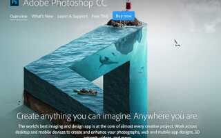Полное руководство для начинающих по Adobe Photoshop Creative Cloud