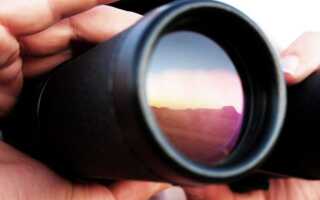 Как узнать, кто украл ваши фотографии (и что с этим делать)