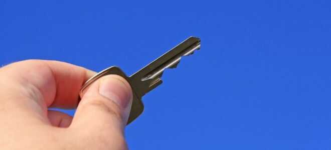 Великолепные способы использования датчиков движения в вашем доме