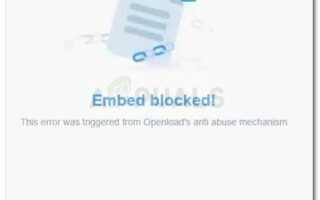 Исправлено: Эта ошибка была вызвана механизмом защиты от злоупотреблений Openloads —