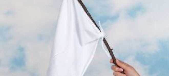 Пожалуйста, внесите белый список в Adblock: заявление бывшего разработчика фильтра Adblock