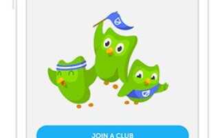 Учите новый язык с клубами Duolingo