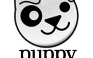 Все, что вы хотели знать о Puppy Linux