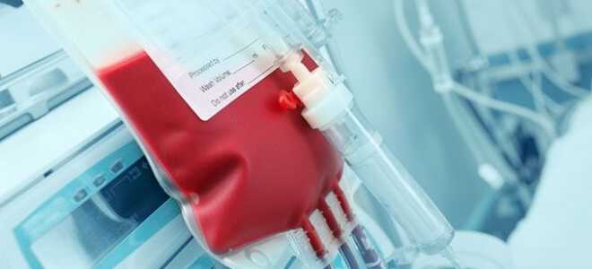 Хотите жить вечно? 6 технологий, которые могут остановить старение