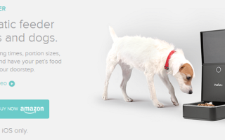 Почему вы должны использовать маршрутизатор даже с одним ПК