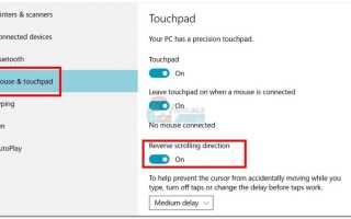 Как поменять направление прокрутки в Windows 10 —