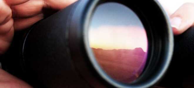 Как узнать, кто украл ваши фотографии (и что с этим делать)