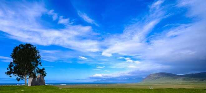 Как добавить реалистичные деревья к фотографиям в один клик с помощью Photoshop