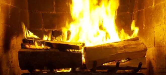 Netflix и Really Chill: краткое руководство по медленному телевидению