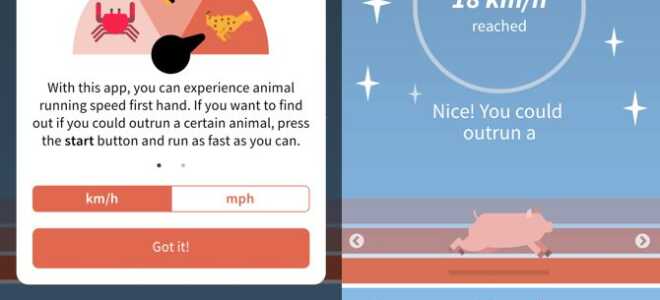 Вы против животных: сравните силу, скорость, размер и многое другое