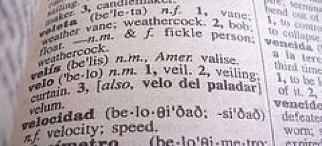 Лучшие 3 подсказки, чтобы мотивировать себя при изучении второго языка