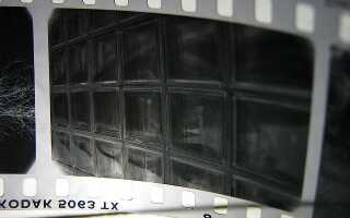 RAW файлы: почему вы должны использовать их для своих фотографий