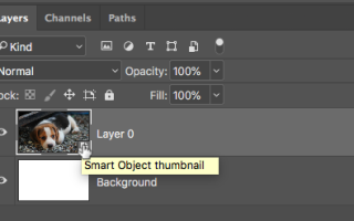 Как использовать смарт-объекты в Adobe Photoshop