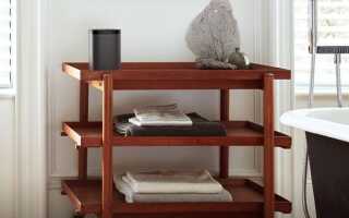 Лучший динамик Echo Dot для любителей музыки