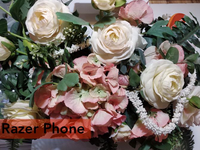 Обзор Razer Phone: Есть's a First Time For Everything razer camera flowers 2