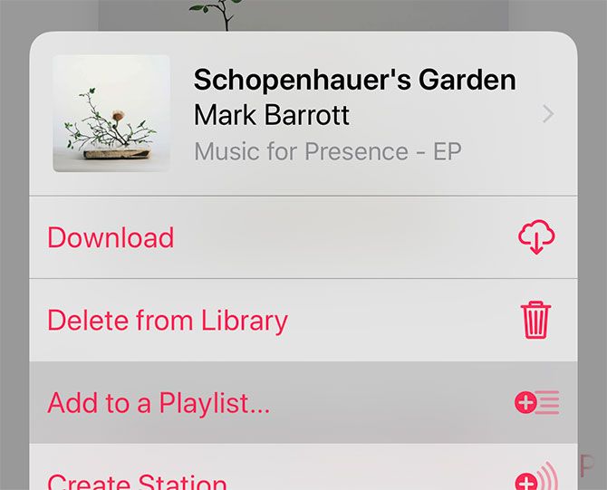 Добавить в Apple Music Плейлист iOS