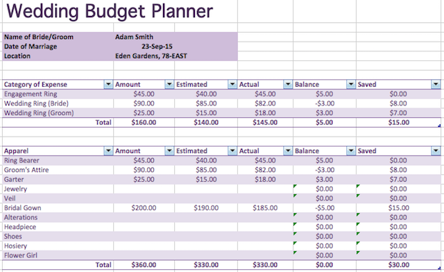 семейного бюджета электронных таблиц Excel-свадебный бюджет планировщик