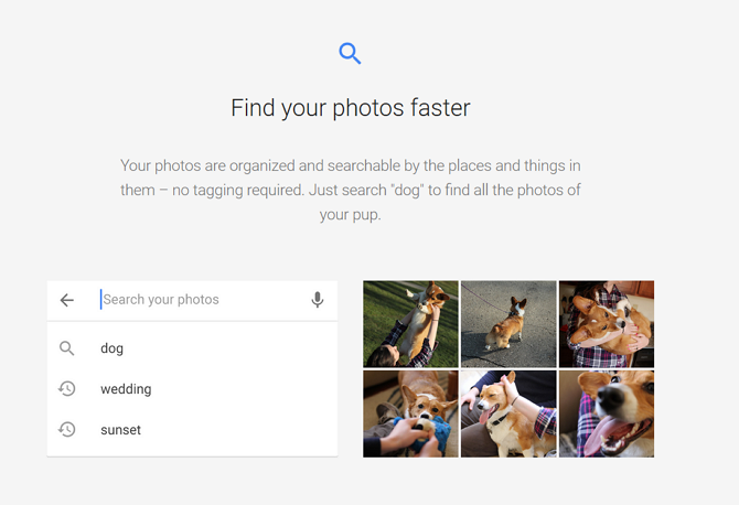 Снимок экрана веб-сайта Google Фото с описанием идентификации фотографии