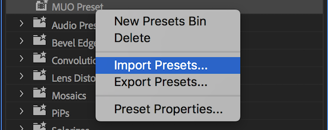 Предварительно настроенное меню импорта / экспорта Premiere Pro