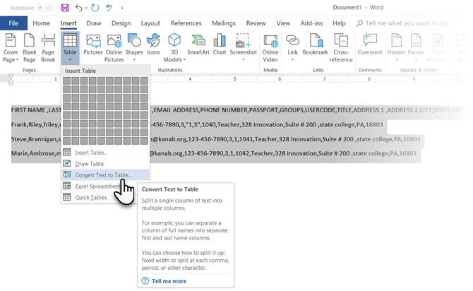Microsoft Word Преобразование текста в таблицу