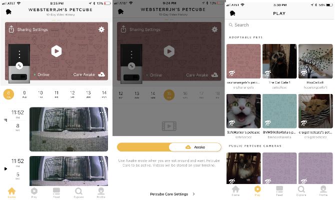 Petcube Bites Review: никогда не оставляйте домашних животных в одиночестве PetCubeApp