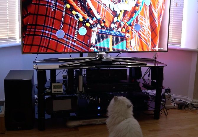 Забудьте о Philips Ambilight: модифицированная подсветка телевизора iHoment делает работу за $ 60 кошка iHoment