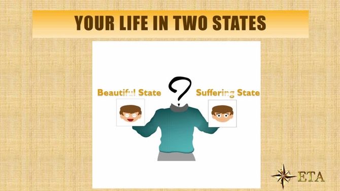 Life Skill на Udemy - Гормоны Счастья