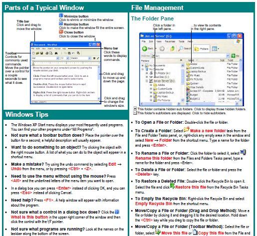 компьютерное обучение основам