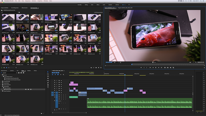 Премьер-министр Adobe Pro советы - сроки