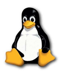 3 способа установки Linux на Windows или Mac linux1