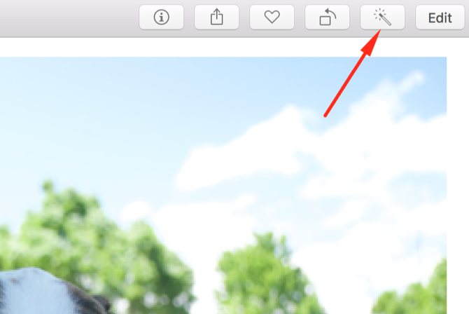 редактировать упорядочивать изображения с новым приложением Macos Photos