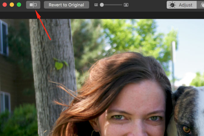 редактировать упорядочивать изображения с новым приложением Macos Photos