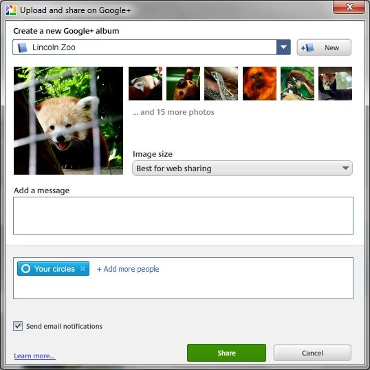 Picasa - по-прежнему лучший и самый универсальный из доступных менеджеров фотографий Picasa Share G