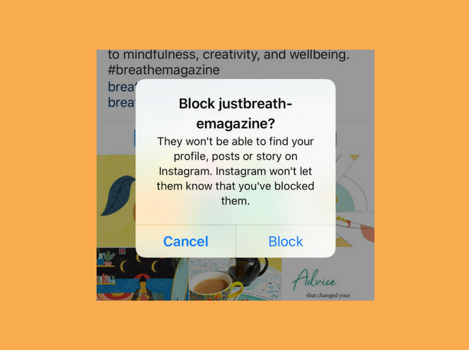Блок Instagram