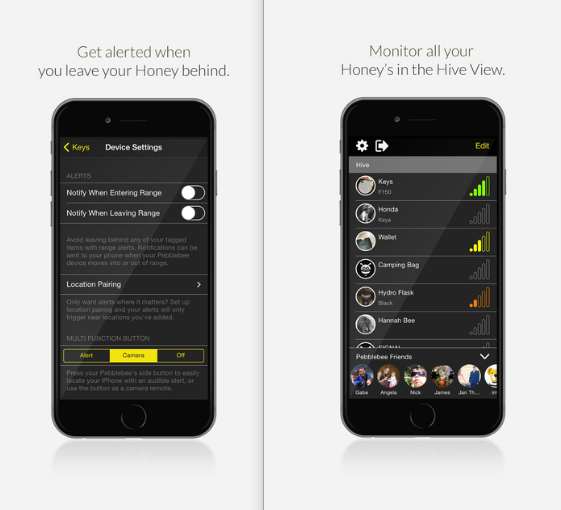 Найдите свое лекарство с медом PebbleBee