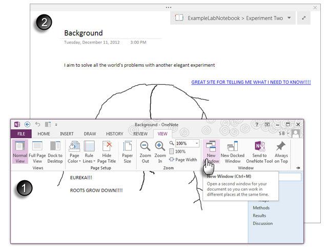 Полный просмотр - Microsoft OneNote