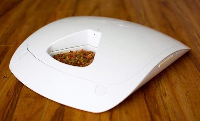 Feed and Go Pet Feeder