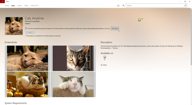 Windows 10 тема кошек везде